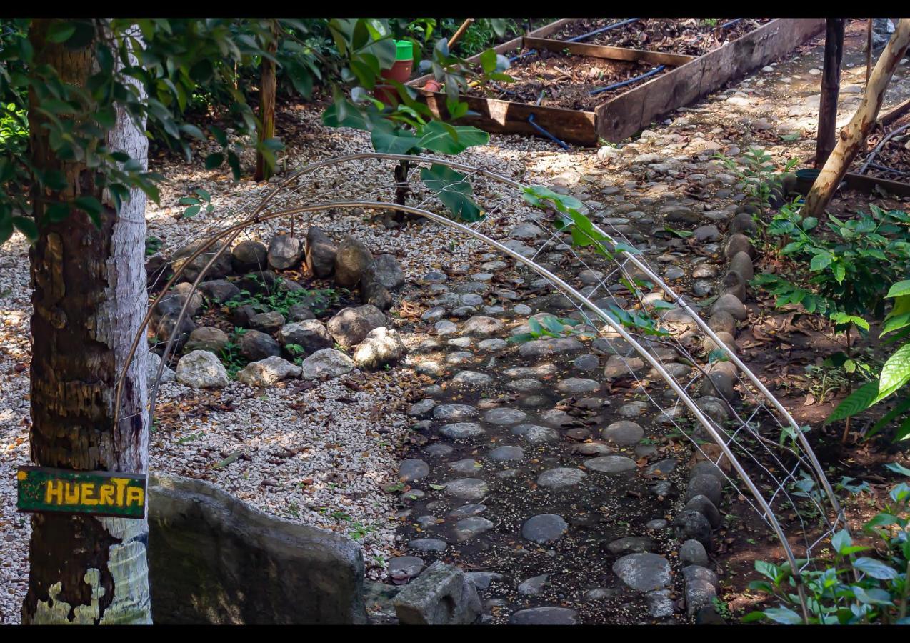 Villas Pura Vibra Potrero  Eksteriør bilde